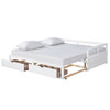 Daybed With Trundle And Two Storage Drawers, Sofa Bed For Bedroom - White