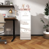 Premium Drawer File Cabinet With Lock, Metal Vertical Design, A4 Legal / Letter Size