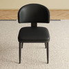 Modern Design Dining Chairs (Set of 2) - Black