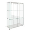 Modern Display Cabinet With LED Lights, Transparent Tempered Glass 2 Door Storage Case With 3 Shelves
