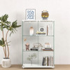 Modern Display Cabinet With LED Lights, Transparent Tempered Glass 2 Door Storage Case With 3 Shelves