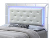 Elegant Modern Contemporary Bed