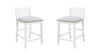 Graham - 20" Upholstered Seat Counter Height Chair (Set of 2)