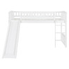 Loft Bed With Slide And Ladder Loft Bed With Slide And Ladder