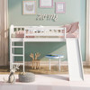 Loft Bed With Slide And Ladder Loft Bed With Slide And Ladder