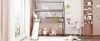 Loft Bed With Slide Loft Bed With Slide