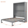 Murphy Wall Bed With Shelves, Space Saving