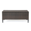 Rupert - Storage Unit Resin Wicker Outdoor