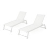 Myers - Modern Chaise Lounge Set With Adjustable Mesh Back