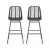 Sawtelle - Outdoor Wicker Barstools (Set of 2)