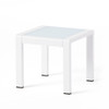 Cape Coral - Contemporary Side Table With Frosted Glass Top
