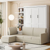 Murphy Bed With Sofa And Shelves