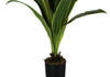 47" Tall, Artificial Plant, Dracaena Tree, Indoor, Faux, Fake, Floor, Greenery, Potted, Real Touch, Decorative - Green / Black