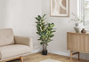 47" Tall, Artificial Plant, Oak Tree, Indoor, Faux, Fake, Floor, Greenery, Potted, Real Touch, Decorative - Green / Black