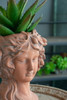 8X9X11.5" Head Bust Planter, Greek Style Cement Head Planter, Indoor Outdoor Home Garden Decor - Brown 8X9X11.5" Head Bust Planter, Greek Style Cement Head Planter, Indoor Outdoor Home Garden Decor - Brown