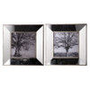 Vintage Reflective Picture Frames (Set of 2) - Silver