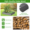 Outdoor Raised Garden Bed