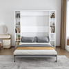 Queen Murphy Bed With Storage Cabinet - White