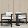 Stylish Indoor Upholstered Wood Dining Chair (Set of 2)