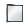 Shaker - Crocodile Metallic Mirror