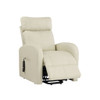 Ricardo - Power Motion Recliner With Lift