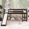 Loft Bed With Slide, Multifunctional Design