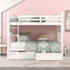 Bunk Bed With 2 Drawers