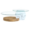 Contemporary Artistic Double Layer Coffee Table,Tempered Glass Top