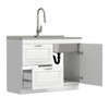 Darwin - Laundry Utility Sink And Cabinet With Dual Sinks, Pull Out Faucet - White