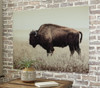 Brutus - Wall Art - Sepia