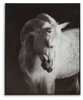 Archerwick - Wall Art - Black / White