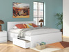 Onita - Panel Platform Bed