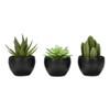 Artificial Succulent Plants (Set of 3)