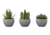 Artificial Succulent Plants (Set of 3)