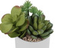 Artificial Succulent Plants (Set of 2)