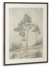 Fenngrove - Wall Art - Brown / Beige
