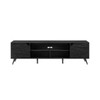 Contemporary 2 Door Minimalist TV Stand