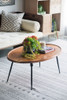 Oval Coffee Table - Brown
