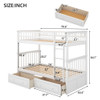 Mystrene - Twin Over Twin Bunk Bed With Drawers, Convertible Beds