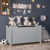 Toy Box Storage With Safety Hinged Lid