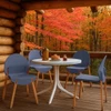 4 Piece Set Of Single Chairs, Traditional Elements With Round Table