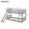 Bunk Bed & Convertible Slide And Ladder