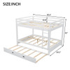 Sturdy Bunk Bed With Ladder