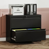 Lateral File Cabinet, Heavy Duty Filing Holds Letter/Legal/A4 Files