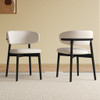 Mid-Century Modern Dining Chair (Set of 2)