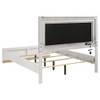 Sophia - Panel Bed With LED Headboard