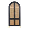 Tall Arched Cabinet With Rattan Doors & Adjustable Shelves