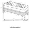 Tufted Trunk With Nailhead Trim Storage Solution - Black