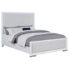Robinson - Panel Bed