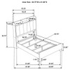 Packard - Bookcase Bed